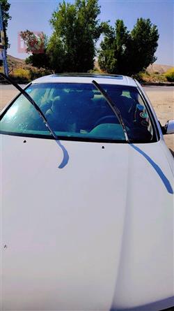 نيسان ماكسيما